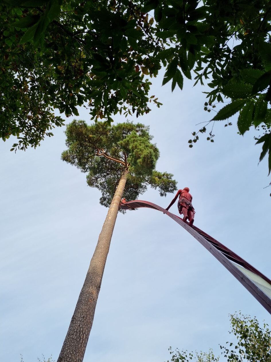 Quand la femme rejoint l’homme…